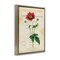 Stupell Industries Garden Greenhouse Vintage Flower Floating Frame By Susan Arnot